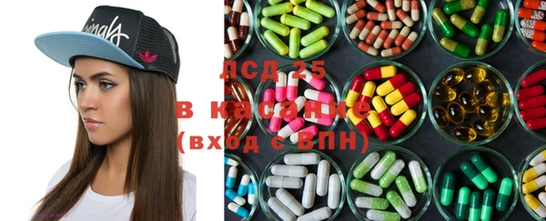 соль ск Богданович
