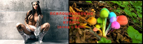 молекула духа Сатка