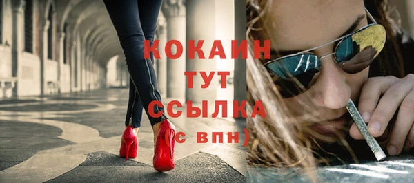 соль ск Богданович