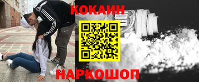 стаф Кулебаки