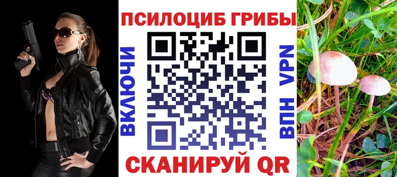 Псилоцибиновые грибы Psilocybine cubensis  где продают   Унеча 