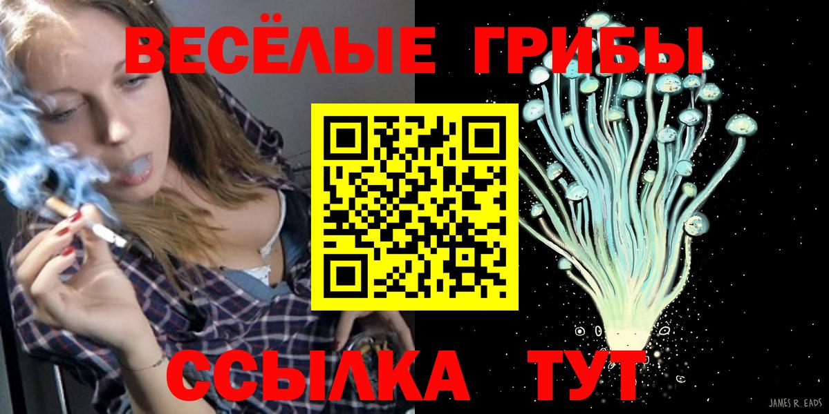 Унеча  Галлюциногенные грибы Cubensis  Вход с VPN 